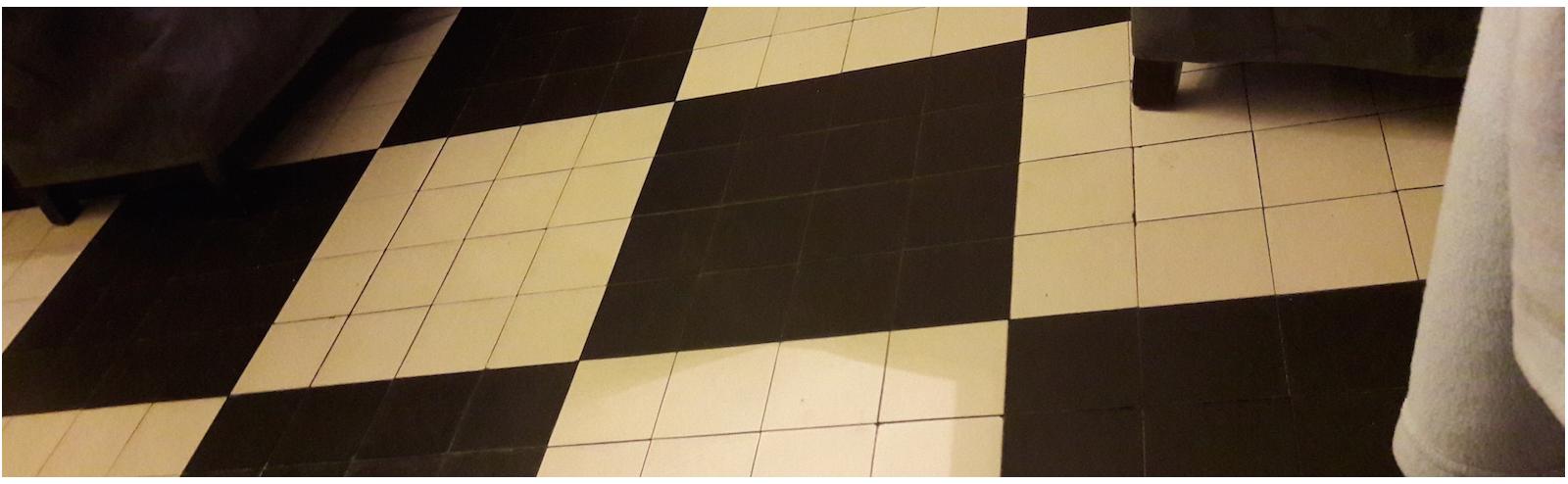 French Victorian black & white tiles