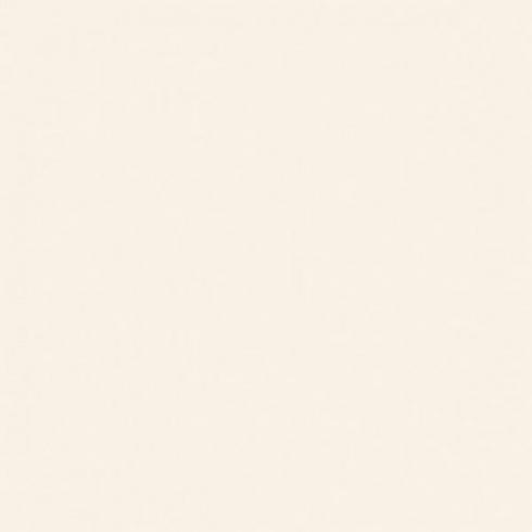     Gebroken wit satijnglans 0498M wandtegel 20 x 25 cm SPECIAAL BESTELARTIKEL
