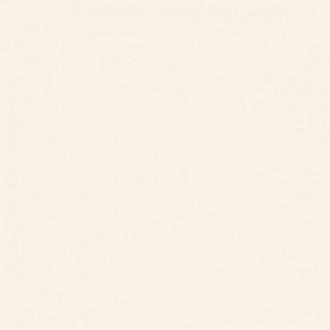     Gebroken wit satijnglans 0498M wandtegel 20 x 25 cm SPECIAAL BESTELARTIKEL
