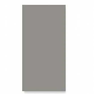     Unlimited L ash grijs mat strakke vloertegel wandtegel 12,5 x 25 cm per 1,25 m2