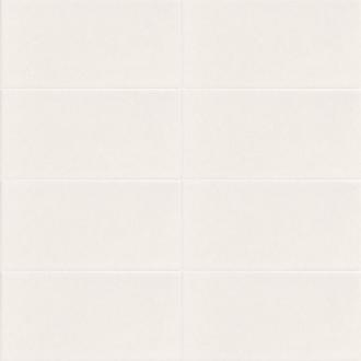     Bissel Blanco Liso 10 x 20 cm zonder facet mat per m2
