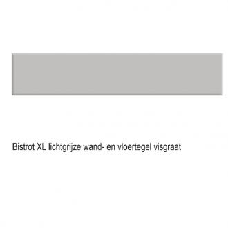 
    Bistrot XL visgraattegel lichtgrijs mat 9,9 x 49,2 cm per 0,73m2

