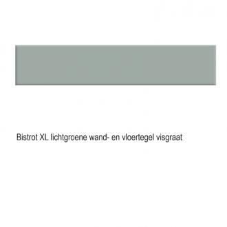 
    Bistrot XL visgraattegel lichtgroen mat 9,9 x 49,2 cm per 0,73m2

