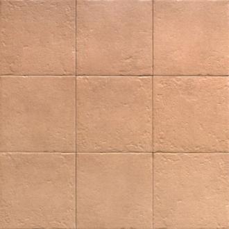 Lente lichte cotto vloertegel 20 x 20 cm per m2 