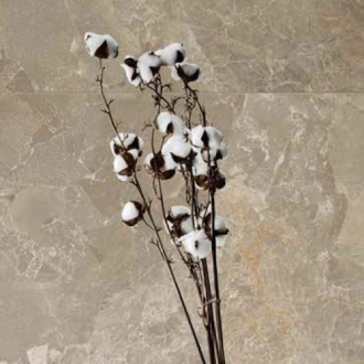     Cosmo natuursteenlook bruin vloertegel 60 x 60 cm rtt
